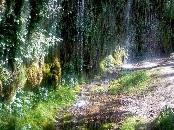 Rinnende Mauer, Naturdenkmal