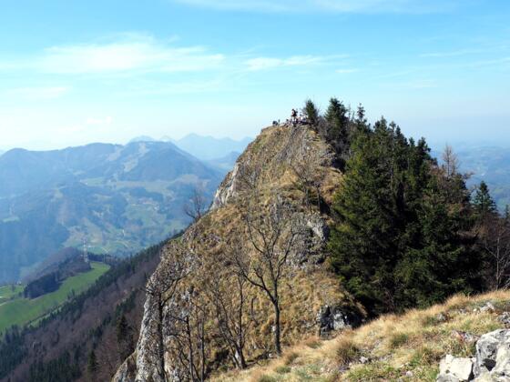 Schieferstein 1206m vom Ostgipfel ~1202m
