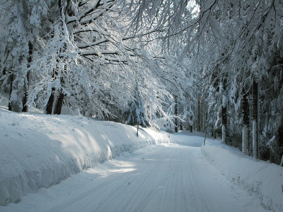 Winterwanderweg