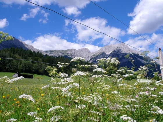Blick zum Treffauer und Sonneck