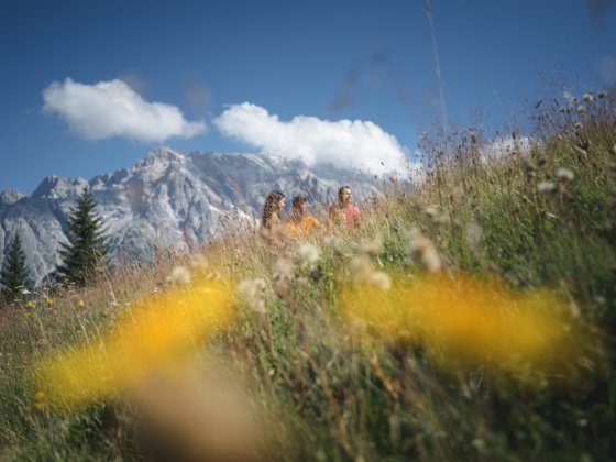 Entdecken Sie die Vielfalt an Kräutern und Blumen