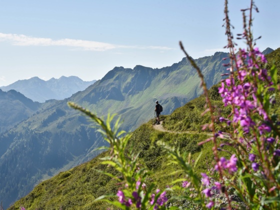 Panoramaweg Wiedersbergerhorn Alpbach