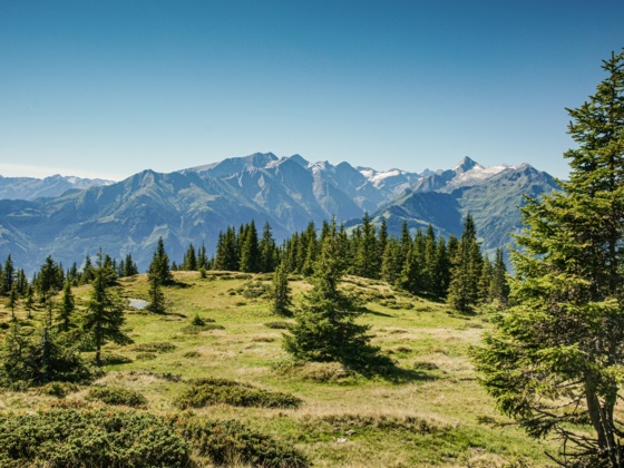 Hochsonnberg