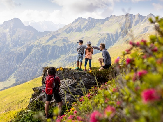 Familienwanderung am Wiedersbergerhorn zur Almrosenblüte