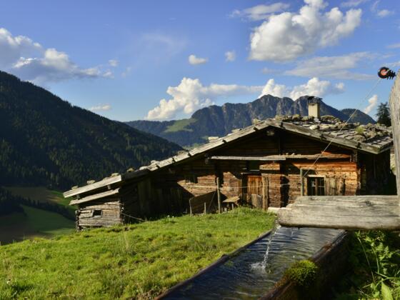 Stettauer Alm im Sommer