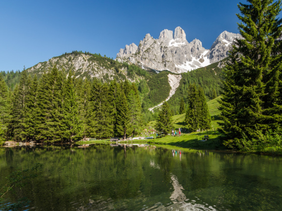 Almsee