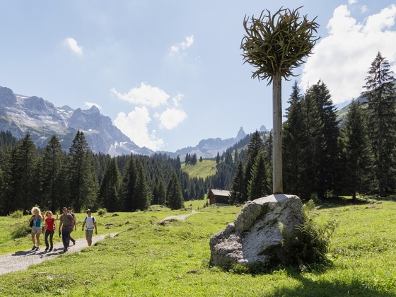 Geweihbaum