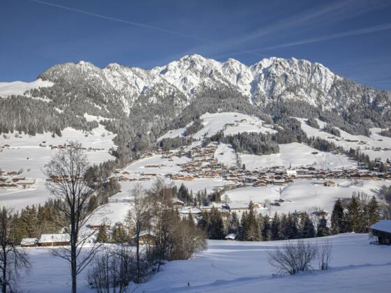Alpbach Dorfblick von der Neader