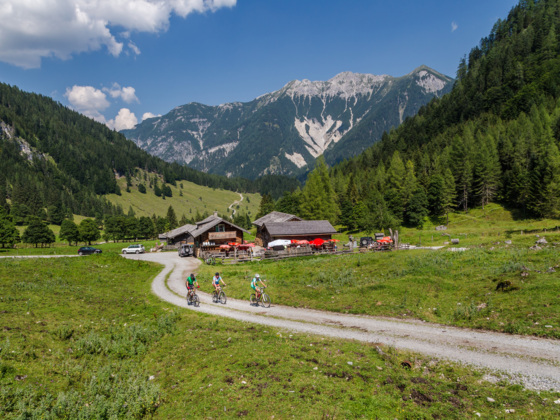 Tour zu den Marbachalmen