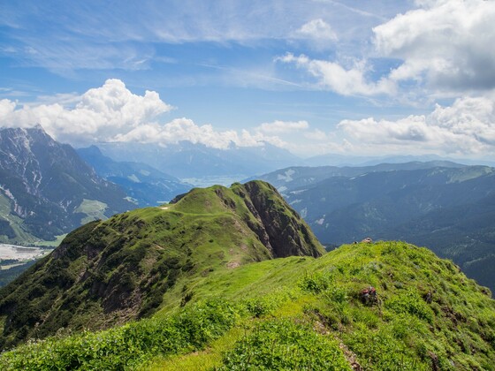Spielberghorn