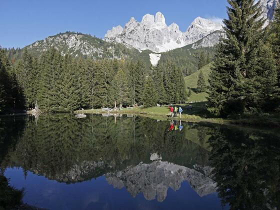 Almsee