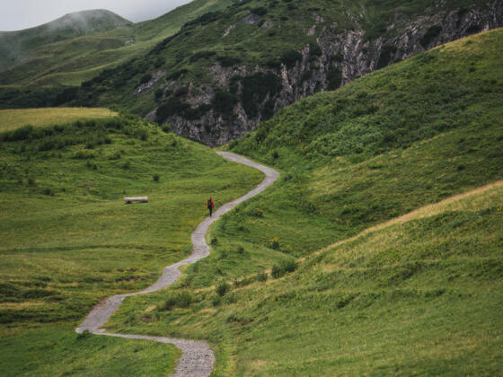 Auenfeld (c) Thomas Stanglechner