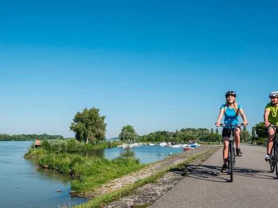 Donauradweg bei Au an der Donau