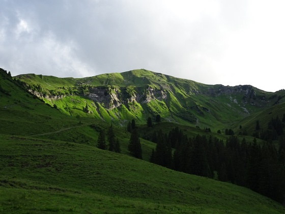 Blick zum Galtjoch