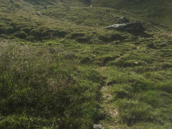 Nach dem Fahrweg zweigt bei ca. 2180 m ein schöner Wanderweg Richtung Rastkogel ab (bez.)