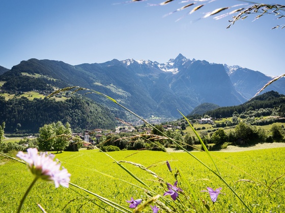 Sautens