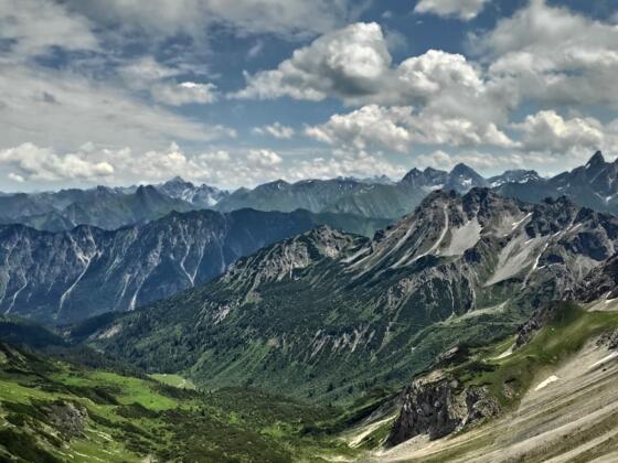 Panorama