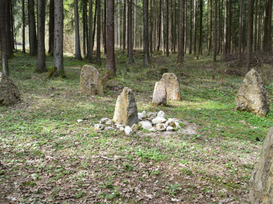 Münster Wald mit Steinkreis