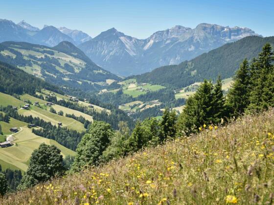 Blick Tal auswärts
