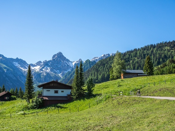Alpgebiet Burtschaalpe mit Blick auf Zimba