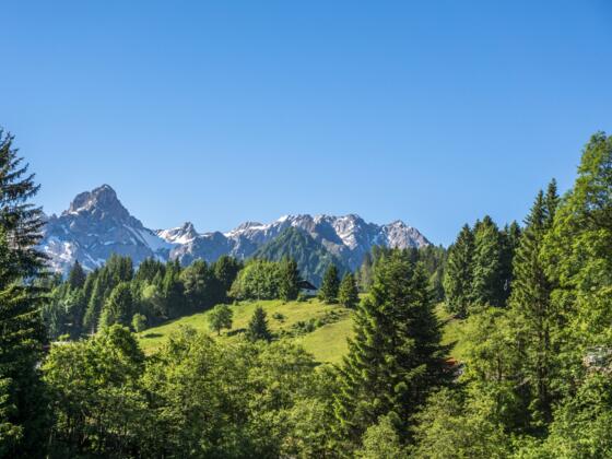 Blick auf die Zimba von der Tschengla aus