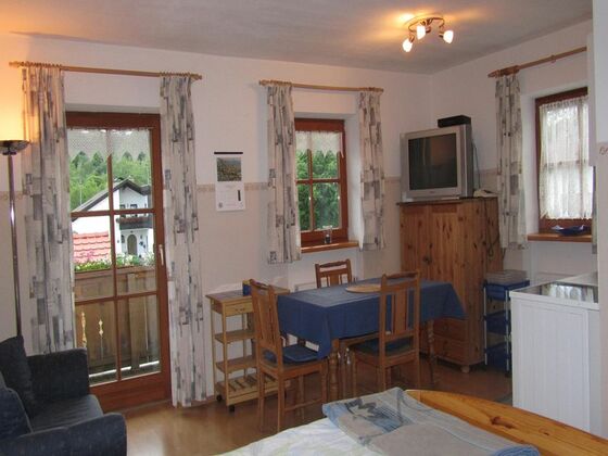 Wohnzimmeransicht Ferienwohnung Fritz