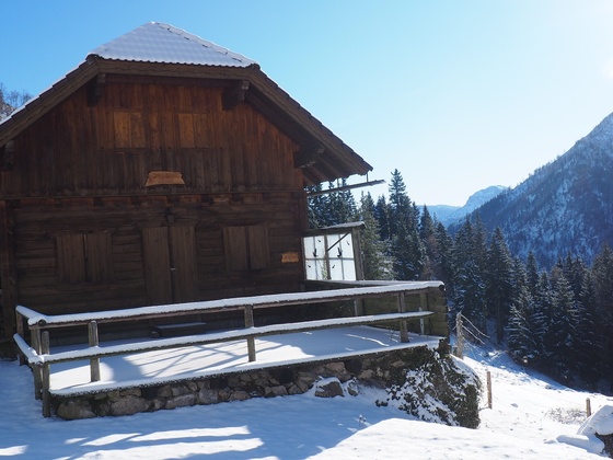 Spitzlsteinalm 1060m