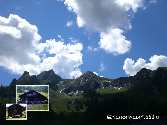 Erlhofalm