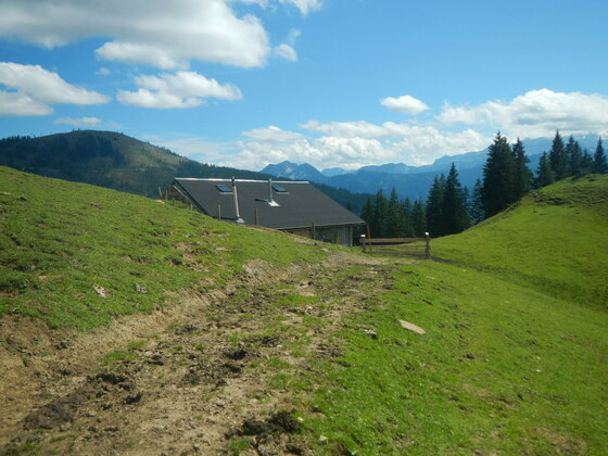 Traunwandalm