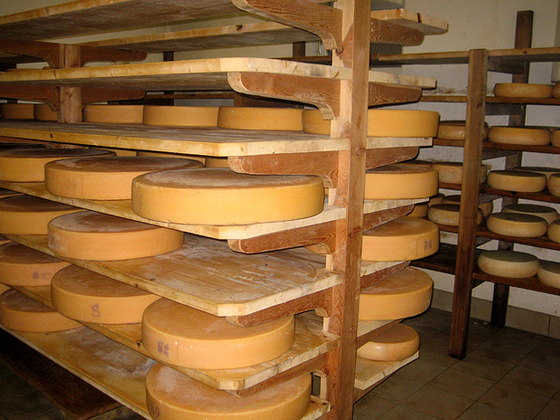 Eigene Käse-Erzeugung bei der Baumgarten Alm