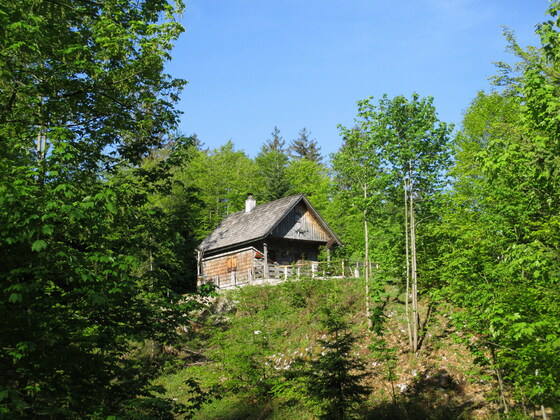 Jagdhütte 1080m