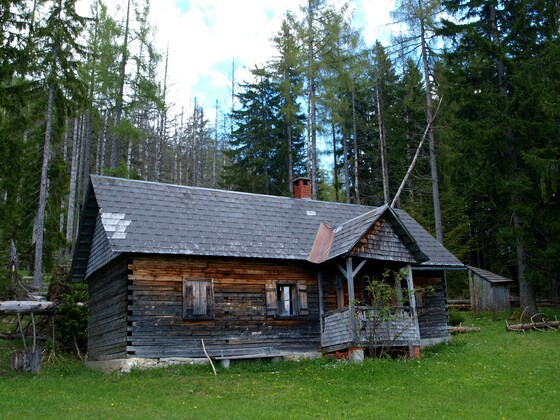 Weingartl Alm 1154 m