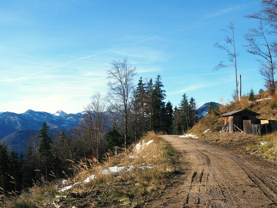 Jagdhütte ~1105m