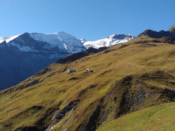 Gleiwitzer Hütte vor dem Hohen Tenn