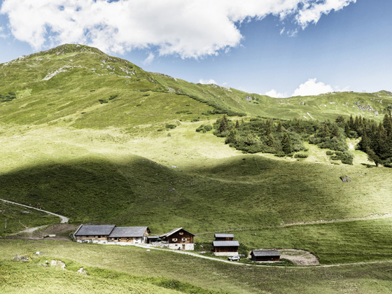 Alpe Latschätz