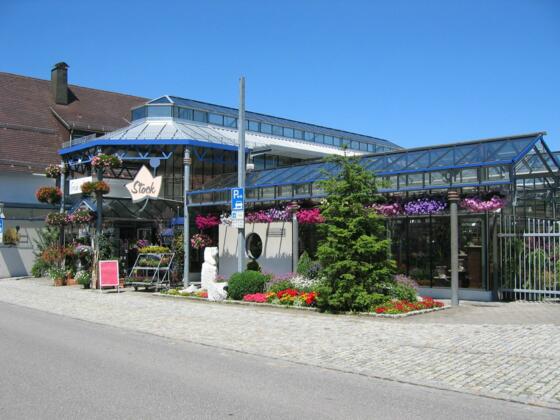 Blumen Stock