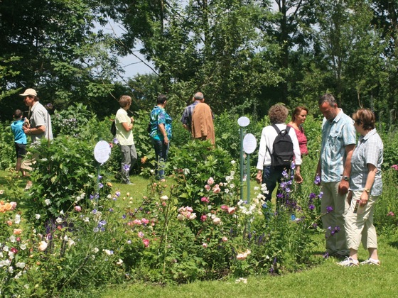 Wieshof Heilpflanzenlehrgarten