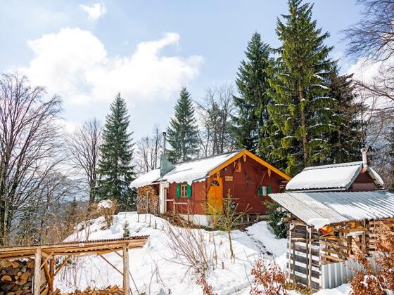Reitbichlhütte