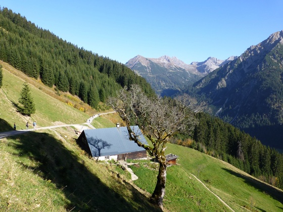 Stutzalpe im Sommer