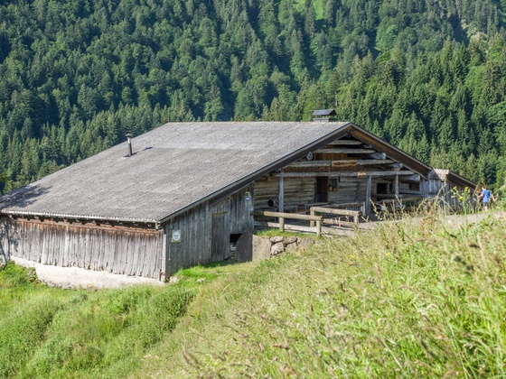 Lindenbachalpe, Dornbirn