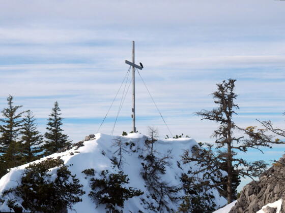Zwillingskogel 1402m im Winter