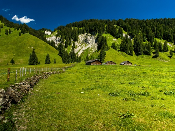 Vordergarnitzaalpe, Laterns