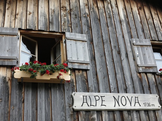 Alpe Nova.