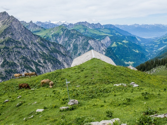 Obere Ischkarneialpe