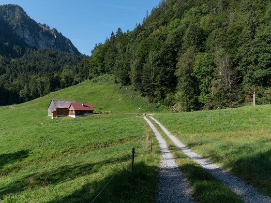 Spätenbachalpe (c) Packyourthingsandtravel / Vorarlberg Tourismus