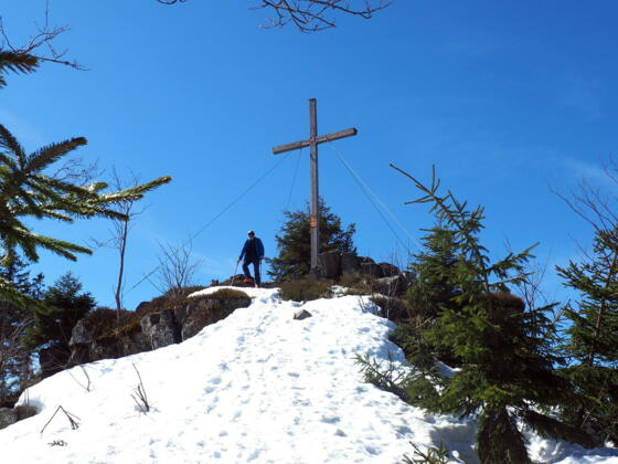 Zwieselberg 1163m