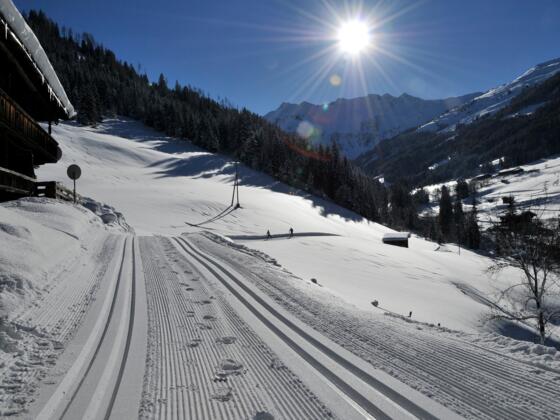 Greitergraben Loipe Inneralpbach