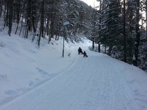 Rodelbahn Brandenberg