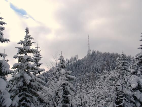 Kleinerberg 1287m