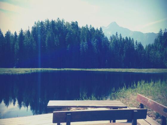 Ambergersee/Brandsee